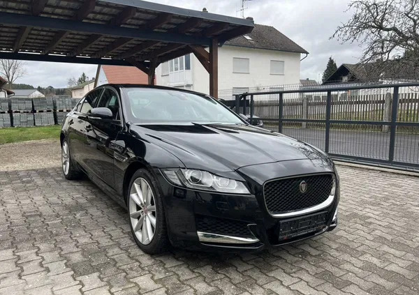 szubin Jaguar XF cena 69900 przebieg: 38000, rok produkcji 2017 z Szubin